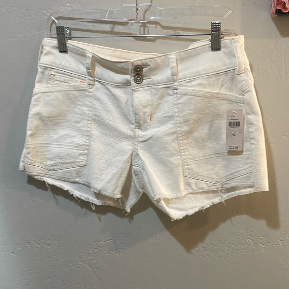 NWT Pilcro( Anthropologie) shorts